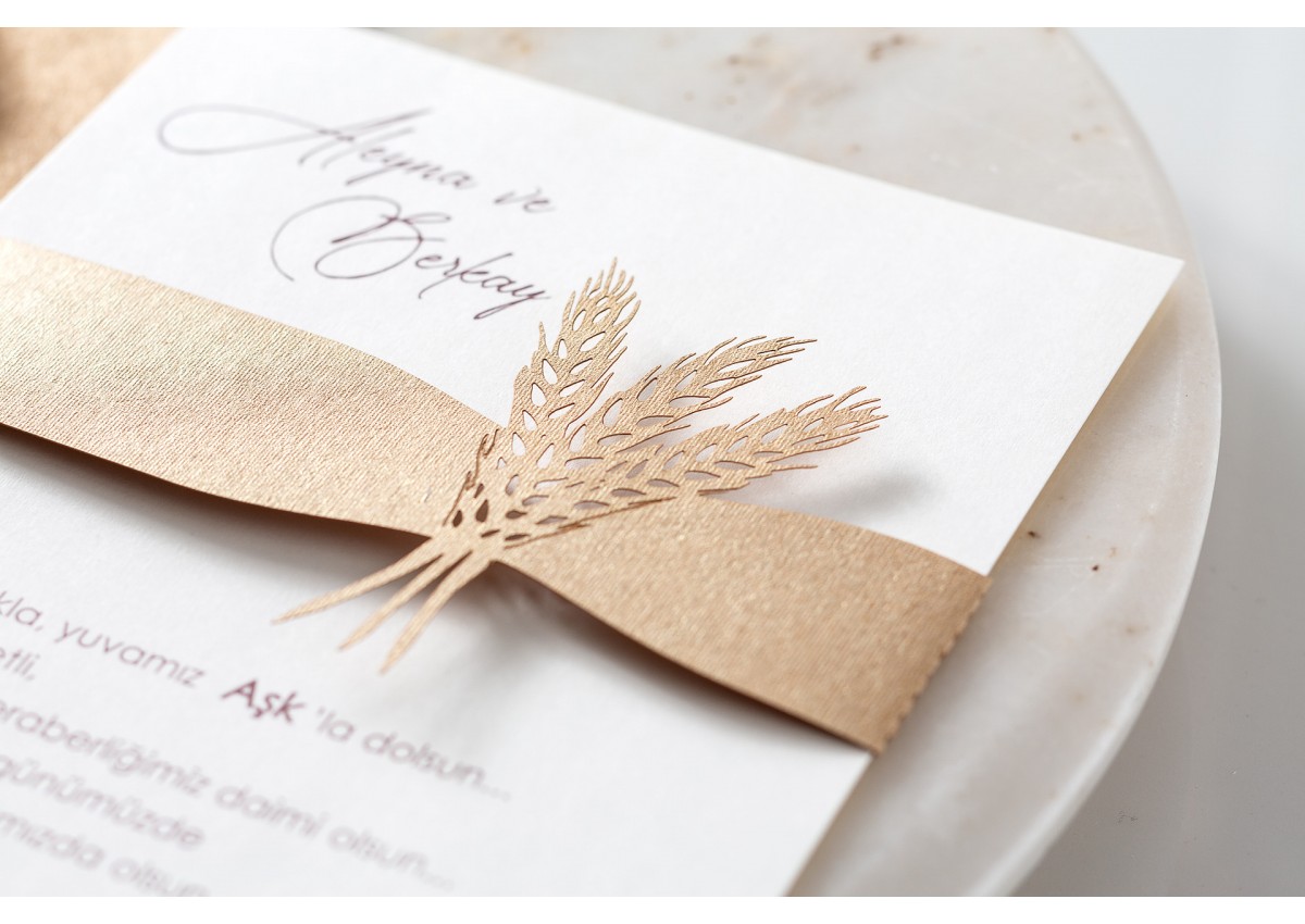 İklim Davetiye 10562